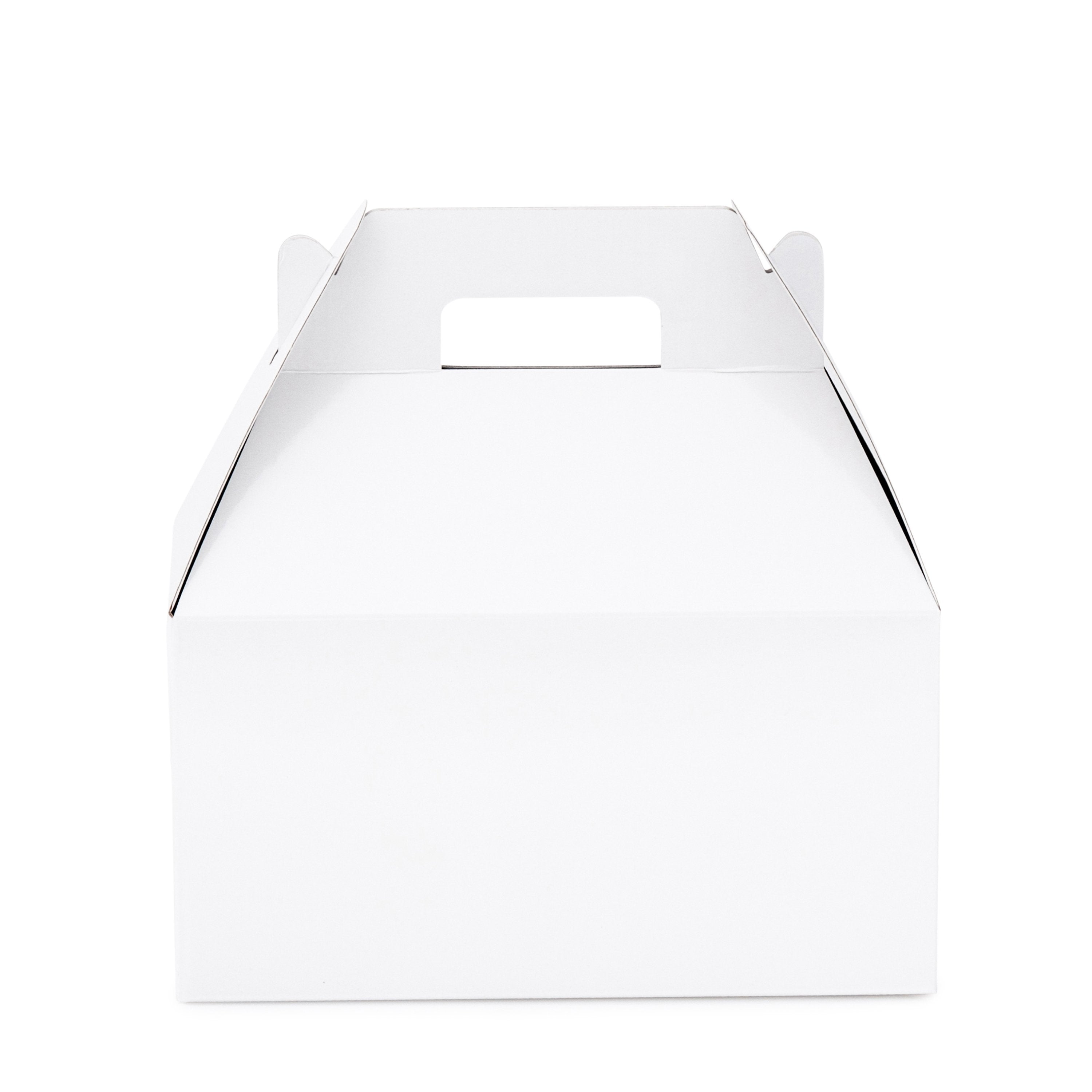 Large Carry Pack - Gloss White