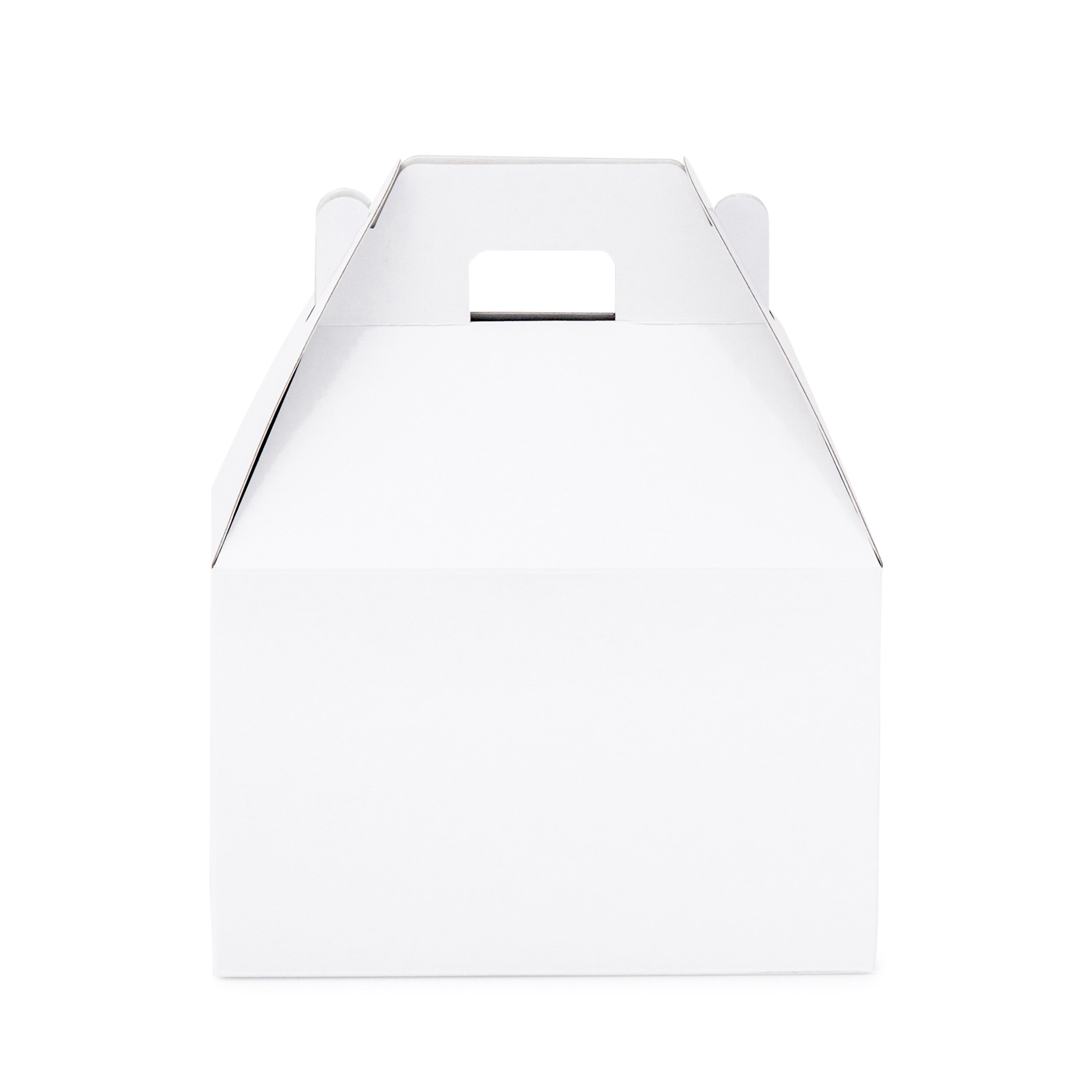 Small Carry Pack - Gloss White - Sample