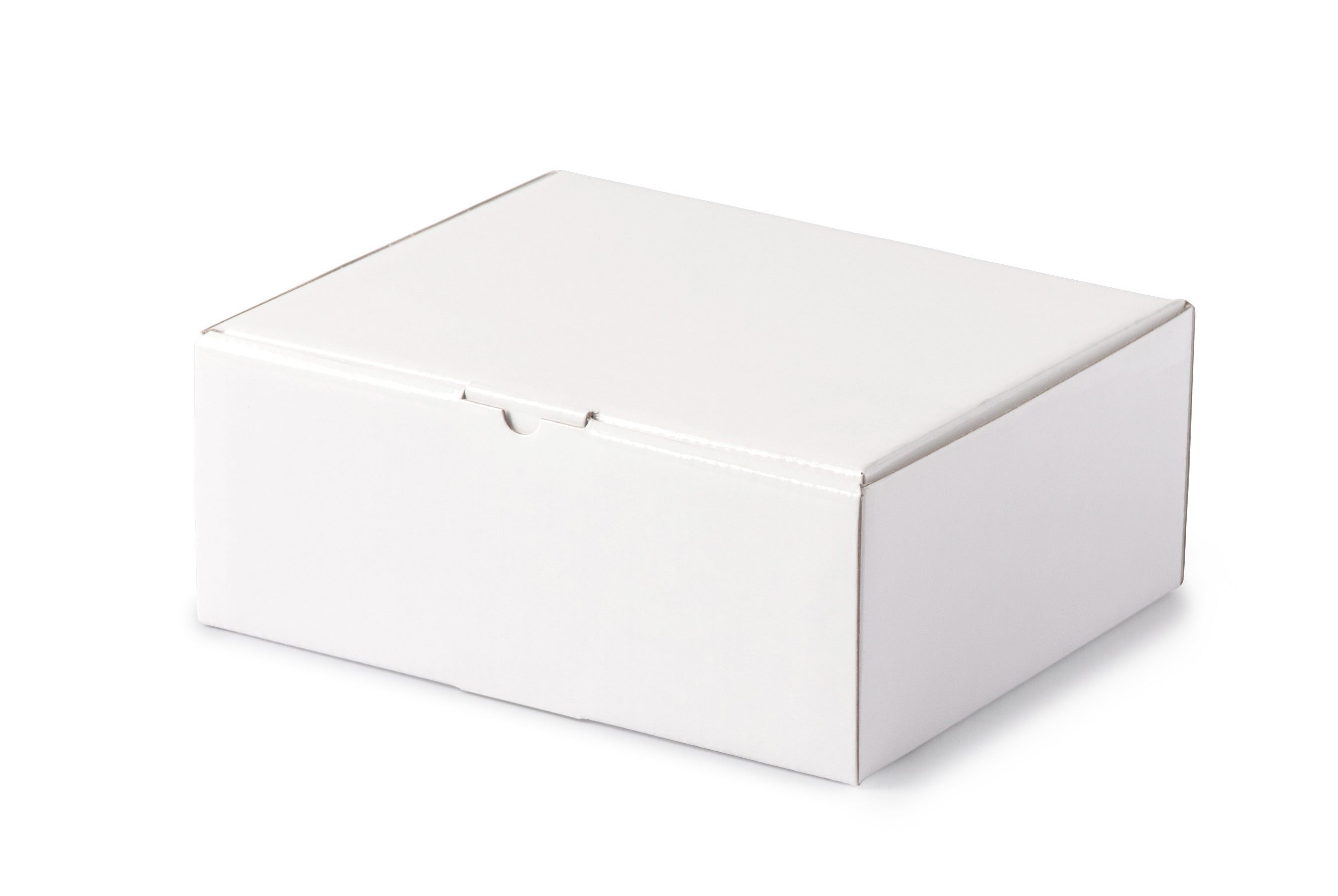 Small Shipper Box - Gloss White - Sample