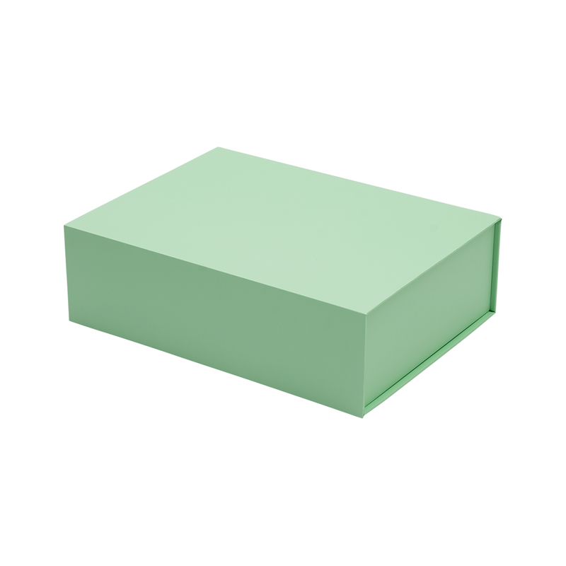 Hamilton Case Box 1 - Matt Pastel Mint Emboss Magnetic Closure