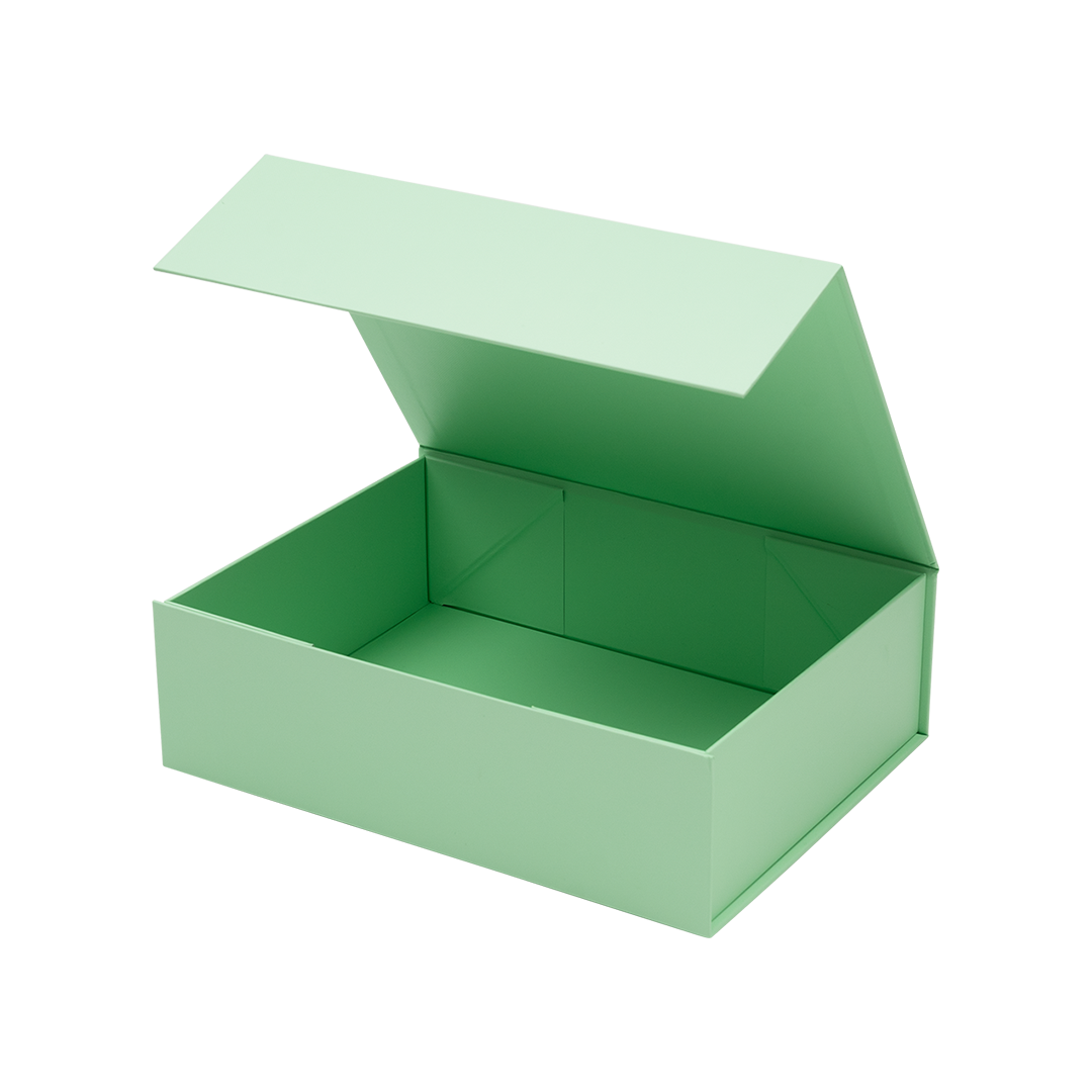 Hamilton Case Box 1 - Matt Pastel Mint Emboss Magnetic Closure