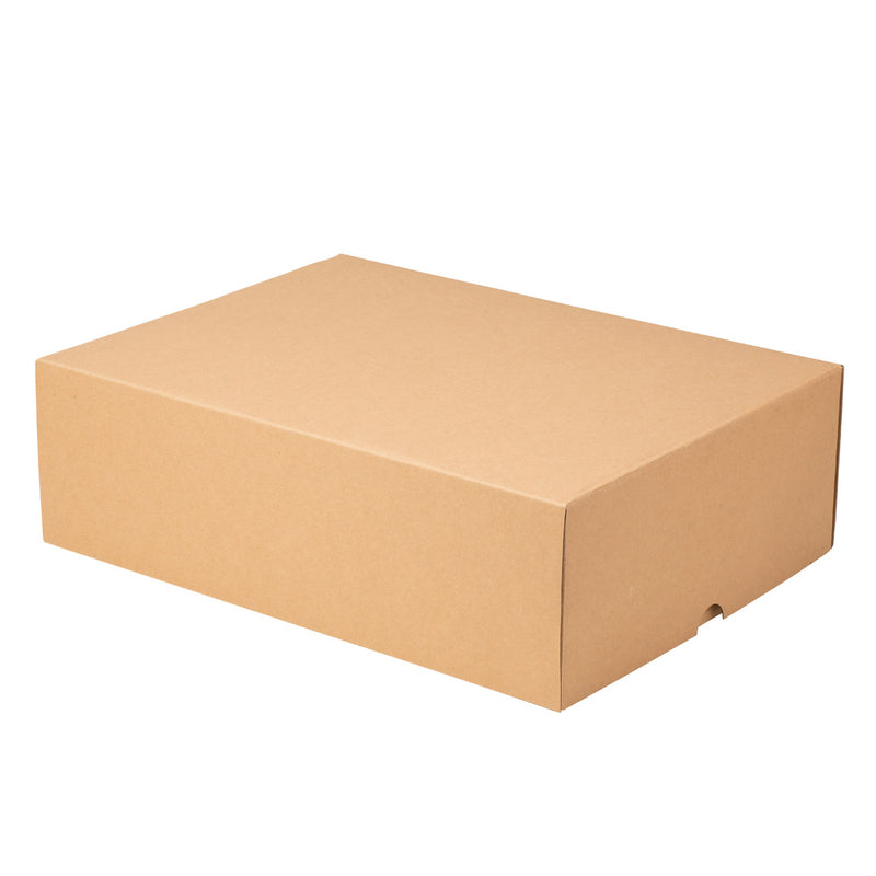 Fruit Hamper Box - Large  Rectangle - Kraft - Sample