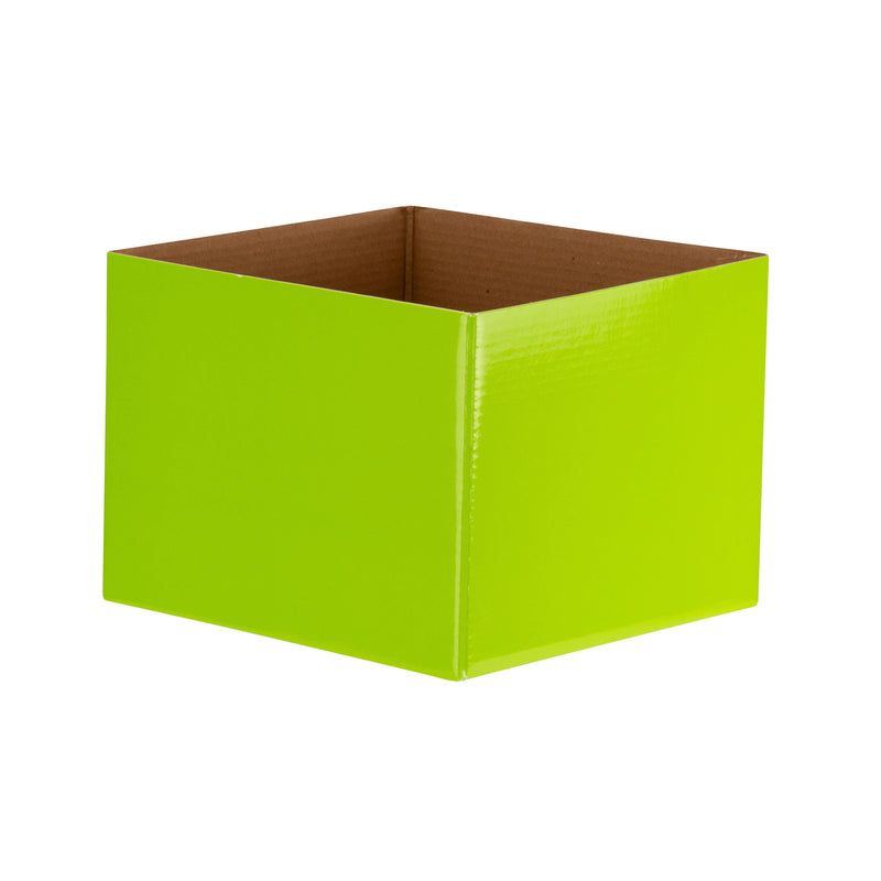Economy Flower Box - Lime
