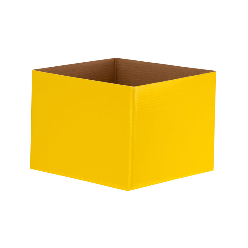 Economy Flower Box - Yellow