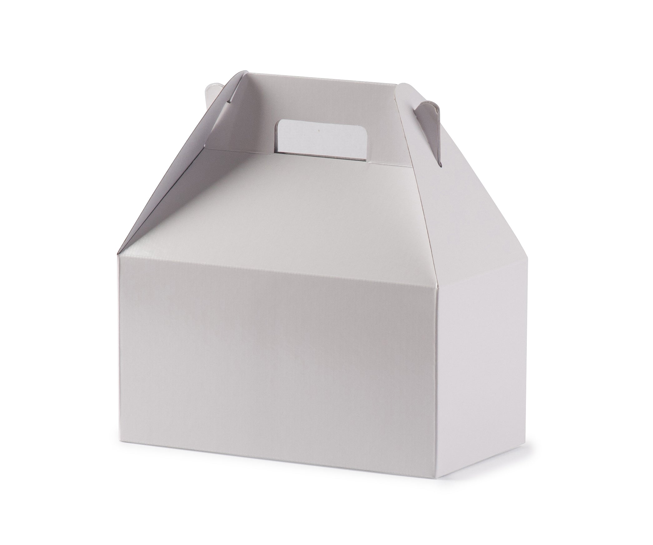 Large Carry Pack - Gloss White - Sample