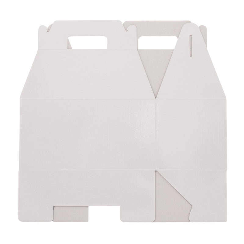 Large Carry Pack - Gloss White - Sample