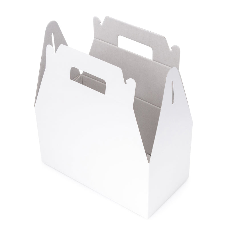Large Carry Pack - Gloss White - Sample
