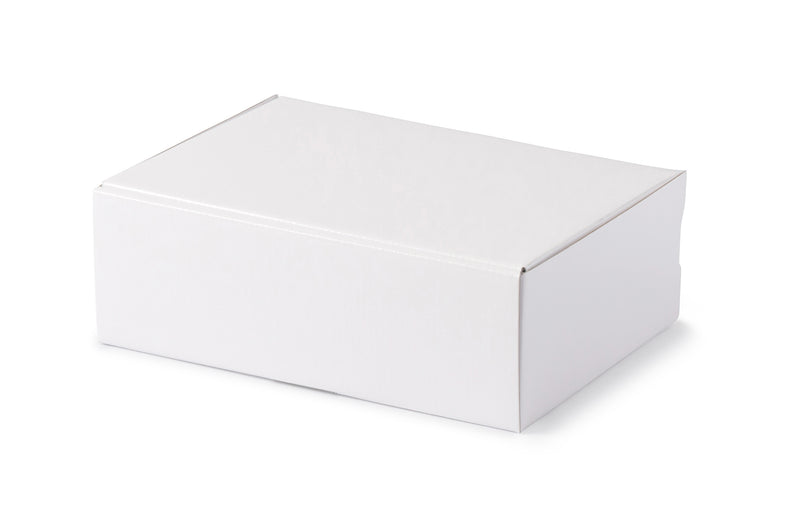 Large Shipper Box - Gloss White - Sample