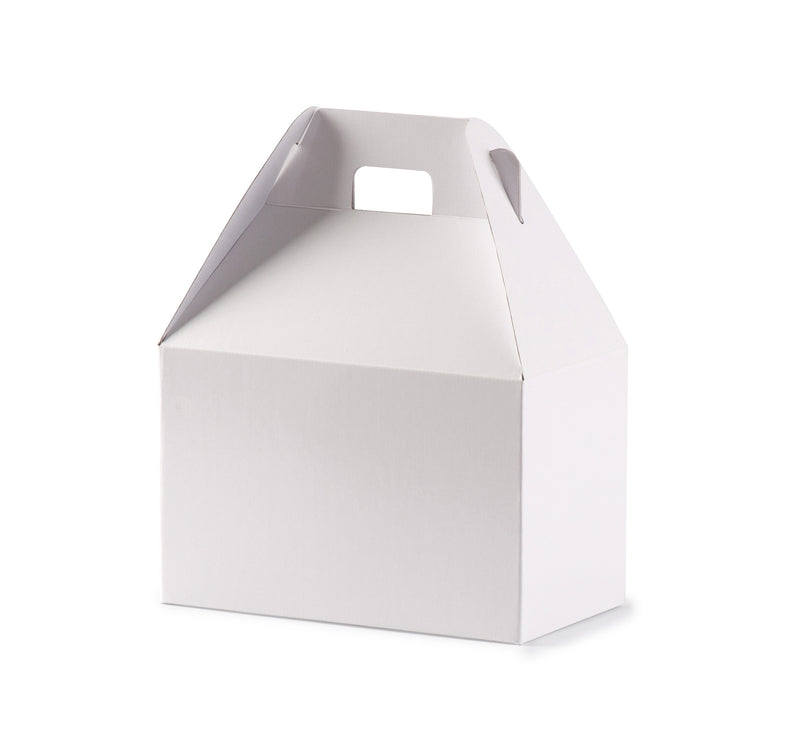 Small Carry Pack - Gloss White - Sample