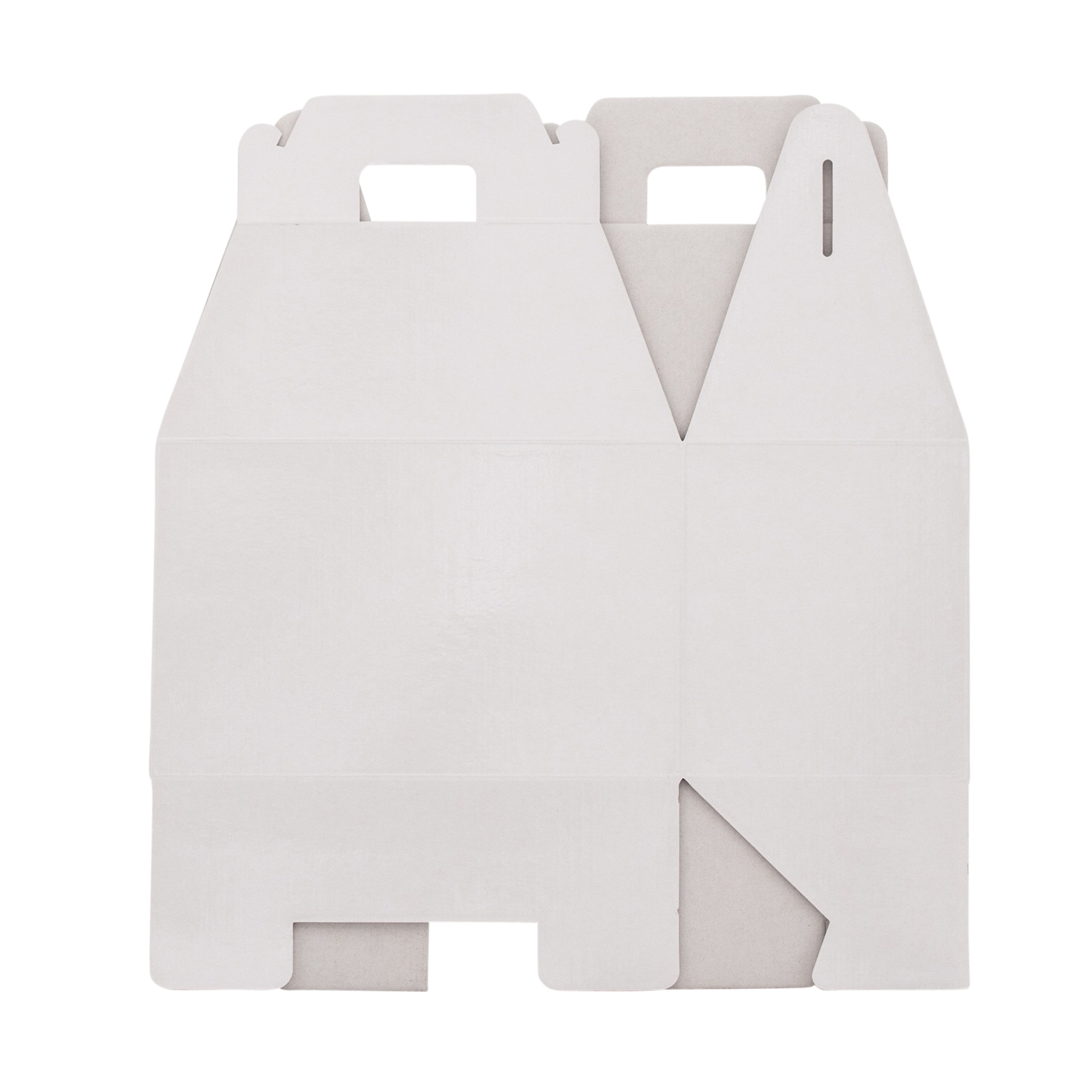 Small Carry Pack - Gloss White - Sample