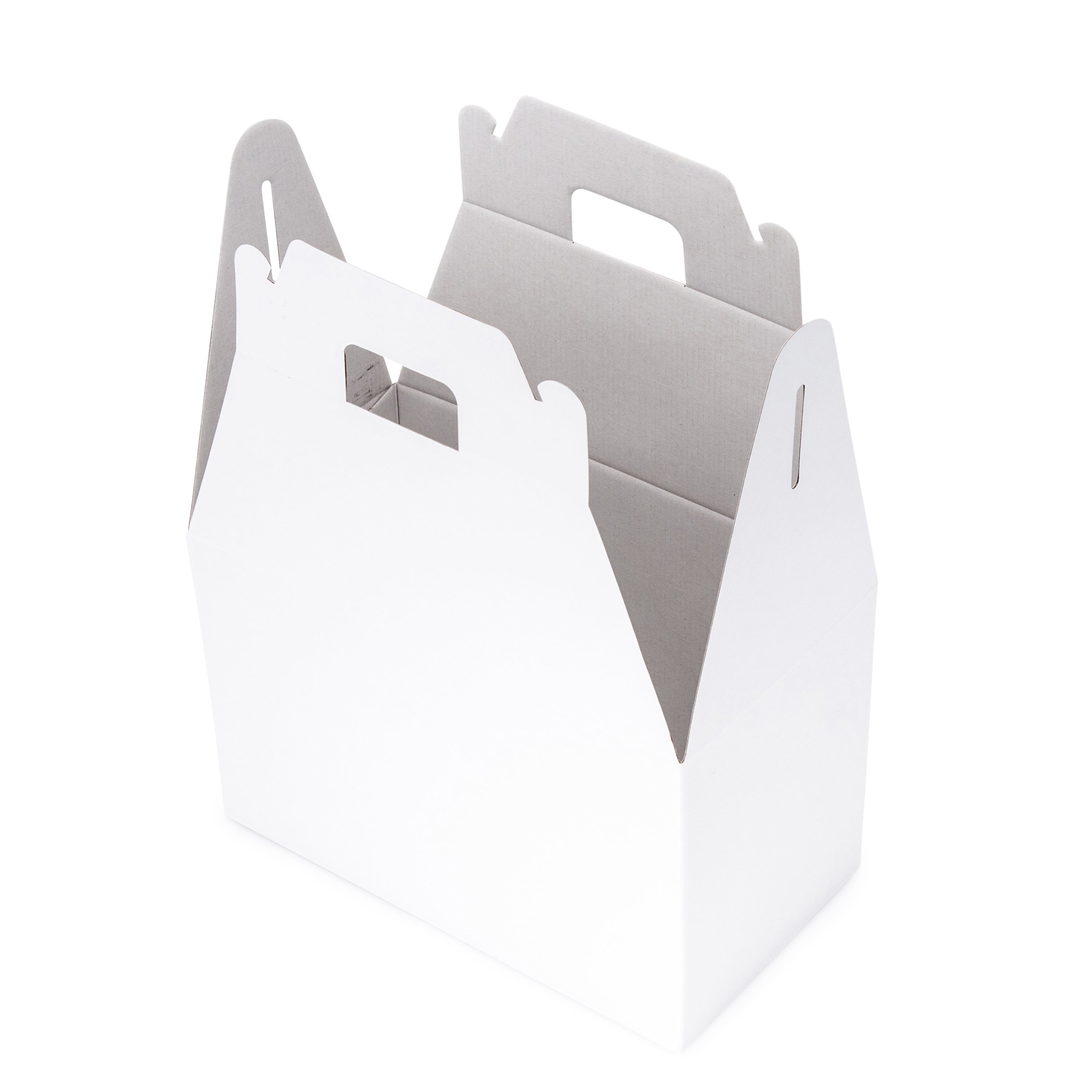 Small Carry Pack - Gloss White - Sample