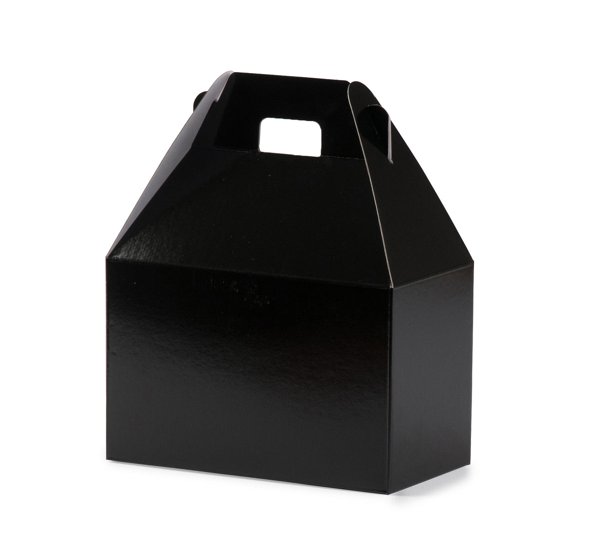 Small Carry Pack - Gloss Black
